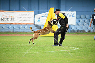 Ivan von der Tigerland