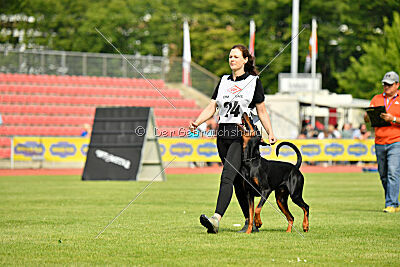 Ivar vom Hexenzauber