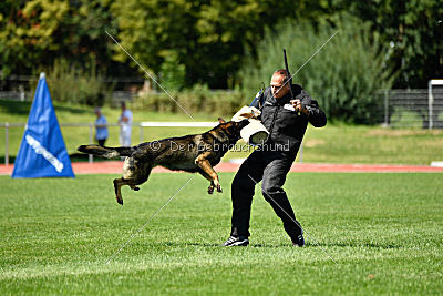 Ix von der Mooreiche