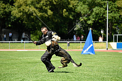 Ix von der Mooreiche