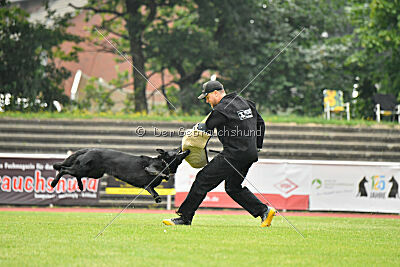 Ixxo vom blauen Stern