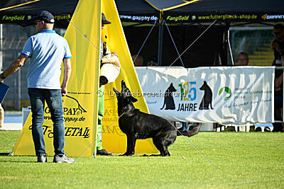 Ixxo vom blauen Stern