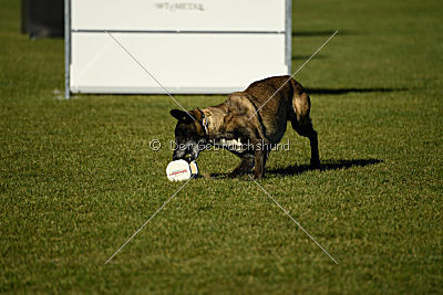 Izarh vom Kistenstein