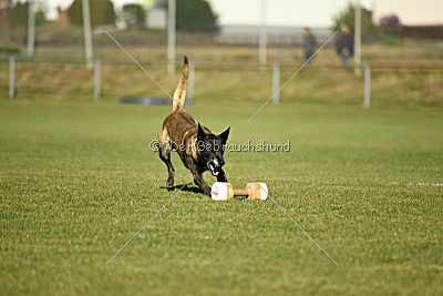 Izarh vom Kistenstein