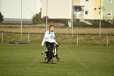 Izarh vom Kistenstein