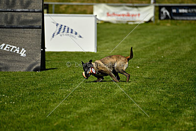 Izarh vom Kistenstein
