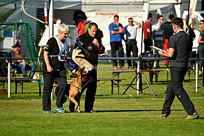 J'Lux vom Brunsbeker Land