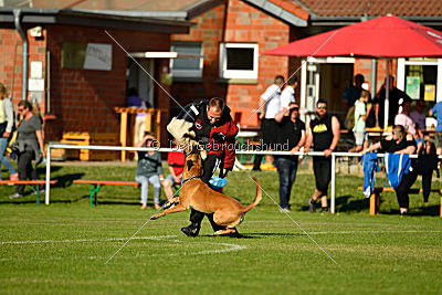 J'Lux vom Brunsbeker Land