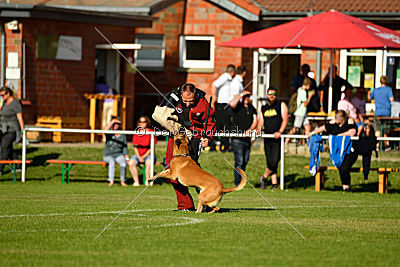 J'Lux vom Brunsbeker Land