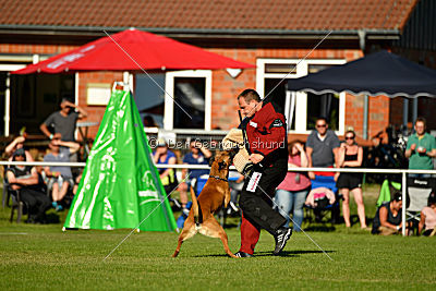 J'Lux vom Brunsbeker Land