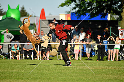 J'Lux vom Brunsbeker Land