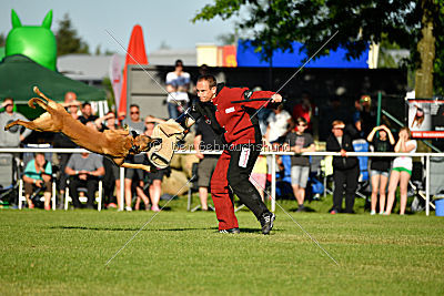 J'Lux vom Brunsbeker Land