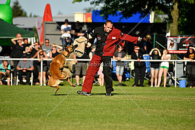 J'Lux vom Brunsbeker Land