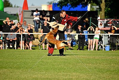 J'Lux vom Brunsbeker Land