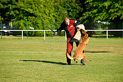 J'Lux vom Brunsbeker Land