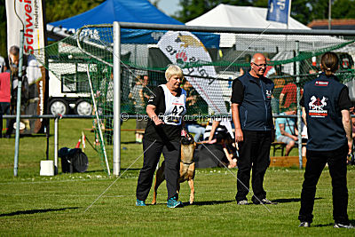 J'Lux vom Brunsbeker Land