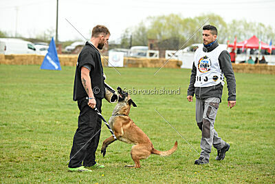 Jackie Brown Ballacoilupi