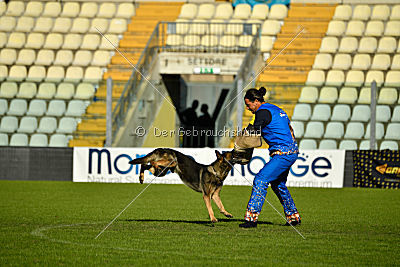 Jackie Chan von Berg Israel