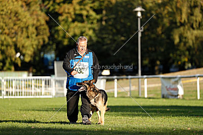 Jackson vom Haus Salztalblick