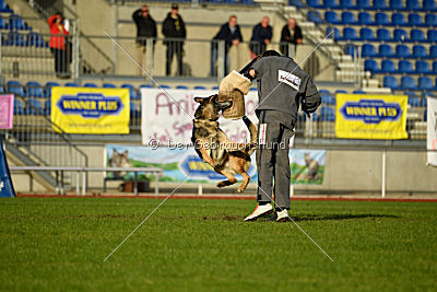 Jackson vom Haus Salztalblick