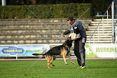 Jackson vom Haus Salztalblick