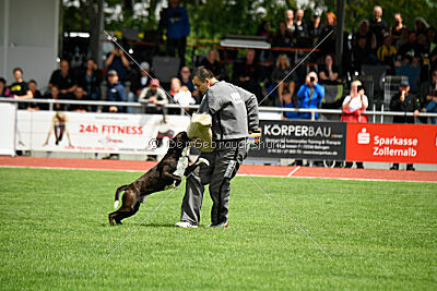 Jamas vom Normannstein