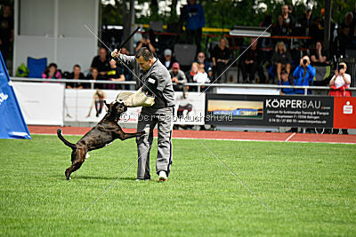 Jamas vom Normannstein