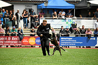 Jamas vom Normannstein