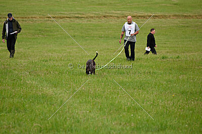 Jamas vom Normannstein
