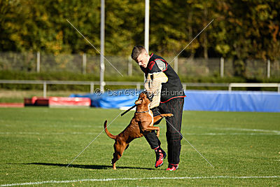 Januma vom Brömchen