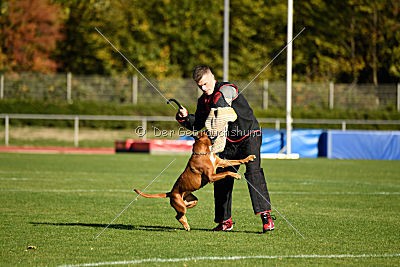 Januma vom Brömchen