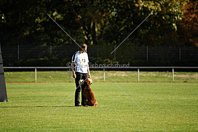 Januma vom Brömchen