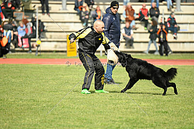 Jarak Perro de la Casa Negra