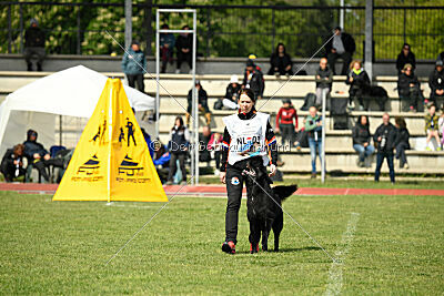 Jarak Perro de la Casa Negra