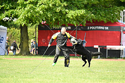 Jarak Perro de la Casa Negra