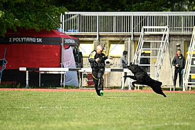 Jarak Perro de la Casa Negra