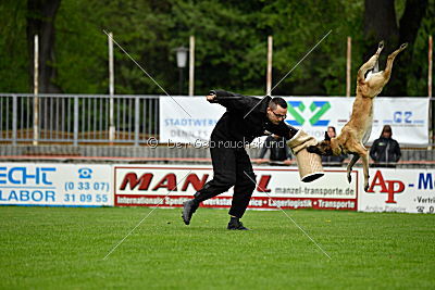 Jeannie de l'Etoile de l'Est
