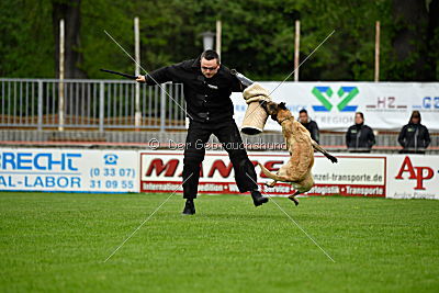 Jeannie de l'Etoile de l'Est
