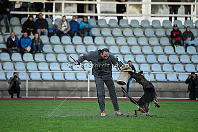 Jenny vom Kretzschauer Land