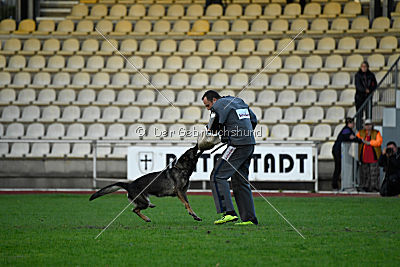 Jenny vom Kretzschauer Land