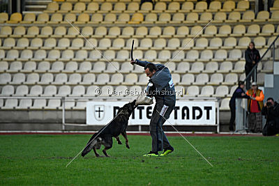 Jenny vom Kretzschauer Land