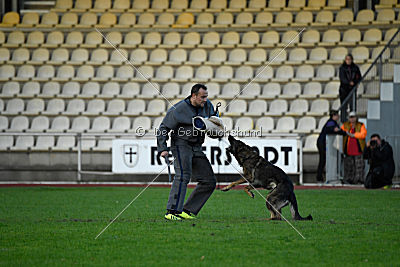 Jenny vom Kretzschauer Land