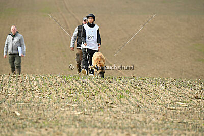 Jenny von den Unbestechlichen