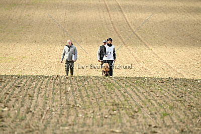 Jenny von den Unbestechlichen