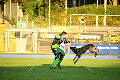 Jess-Jah zur Krombach Hans