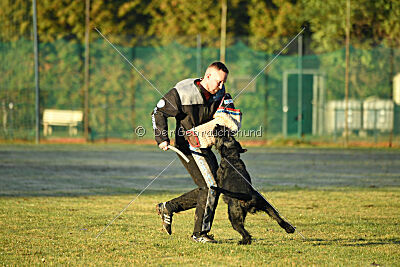 Jesse James Goldest Danubius