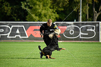 Jimmy von der Drachenhöhle