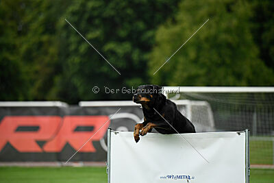 Jimmy von der Drachenhöhle