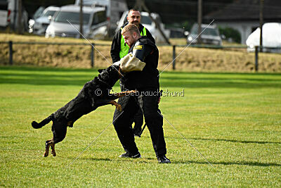Jimmy von der Drachenhöhle