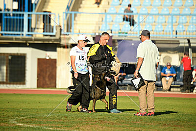 Joker von der Beizjagd